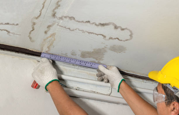 Affordable Water Damage Repair solutions in Hadley, PA